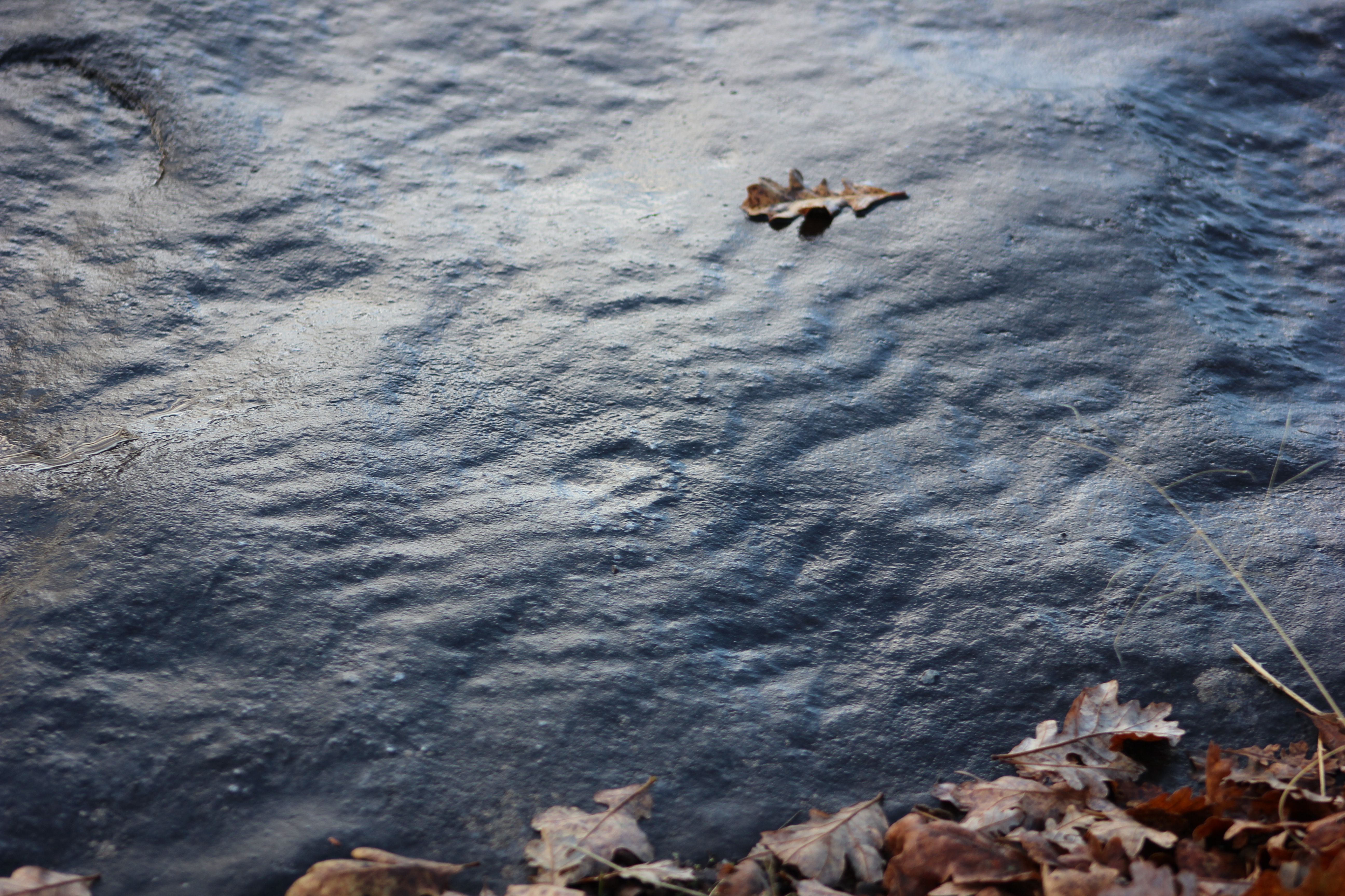 Wave petroglyph on grinding rock 